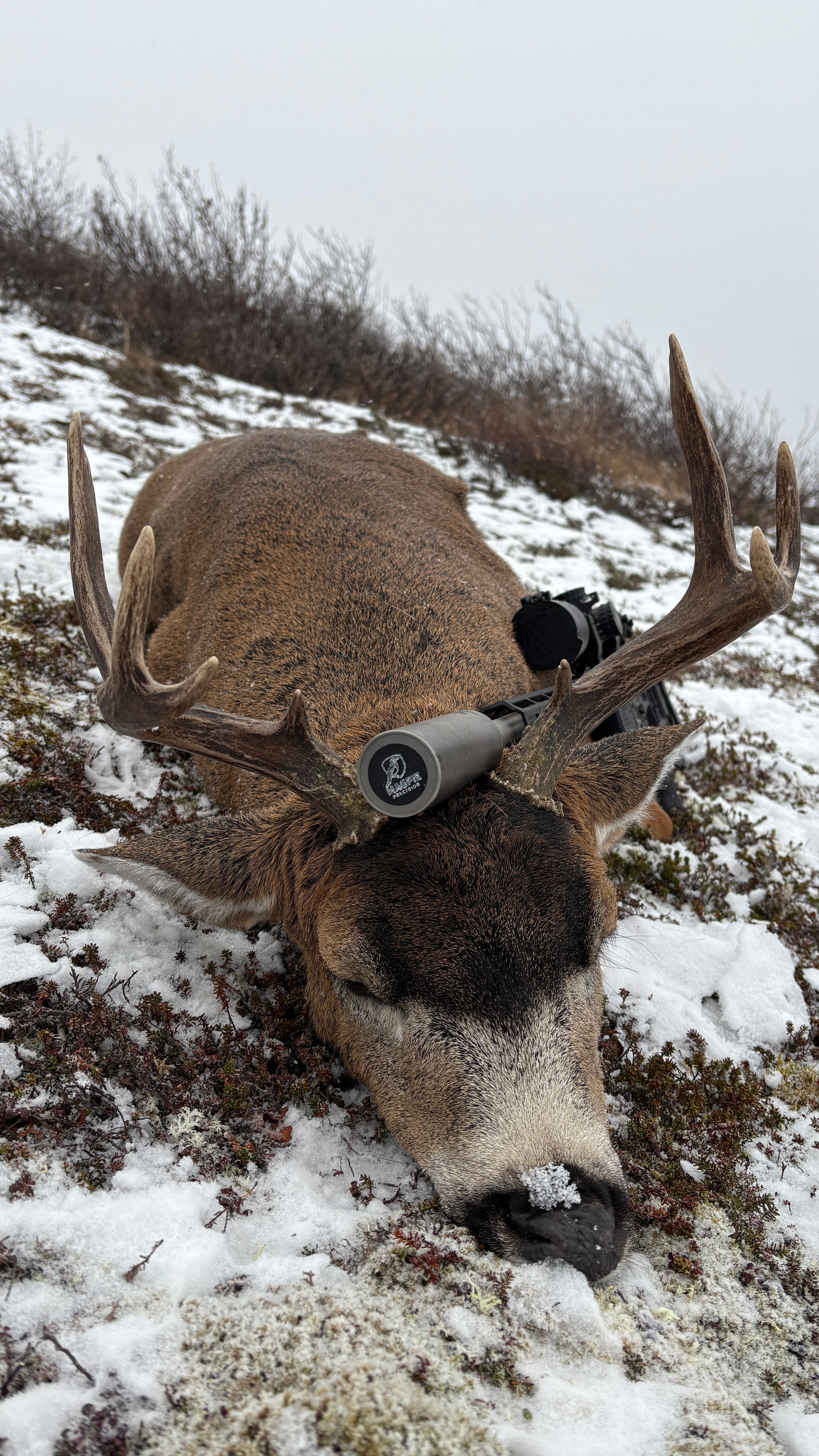 Suppressor fitted with a Magpie Suppressor Seal on a mule deer harvested in the snow on a hill