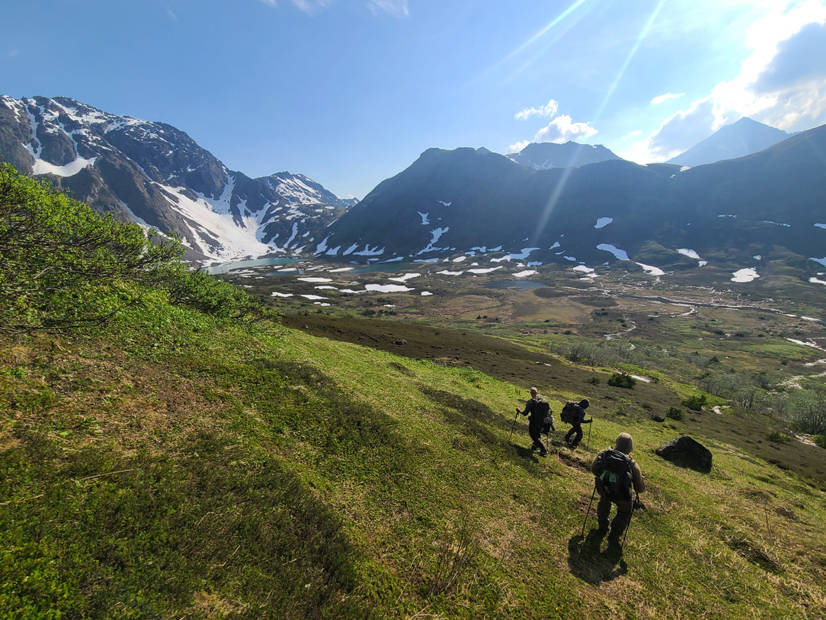 Three hunters with loaded packs descending a green alpine basin toward snowmelt lakes in the Alaska backcountry